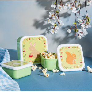 Lot de 3 lunch box Amis du...